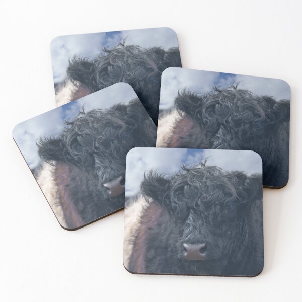 Item preview, Black and White Belted Galloway Cow Close-Up designed and sold by rawshutterbug.
