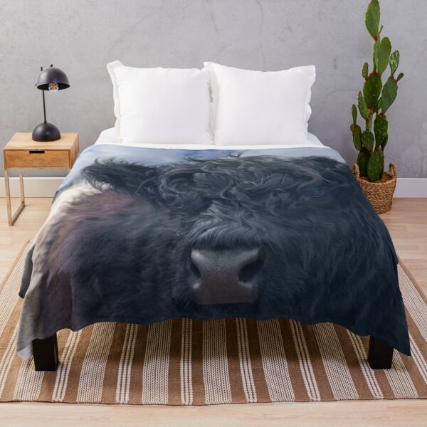 Item preview, Black and White Belted Galloway Cow Close-Up designed and sold by rawshutterbug.