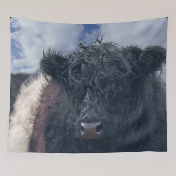 Item preview, Black and White Belted Galloway Cow Close-Up designed and sold by rawshutterbug.