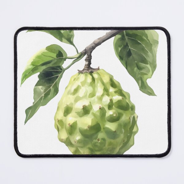 Item preview, Watercolor Cherimoya Still Life designed and sold by DurianDesignsS.