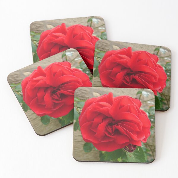Item preview, Red rose close up designed and sold by LittleBettyMakes.