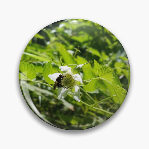 Item preview, Honey bee sucking on a bunch of white flowers and buds of hawthorn that are waiting for pollination designed and sold by Yusuf-Design.