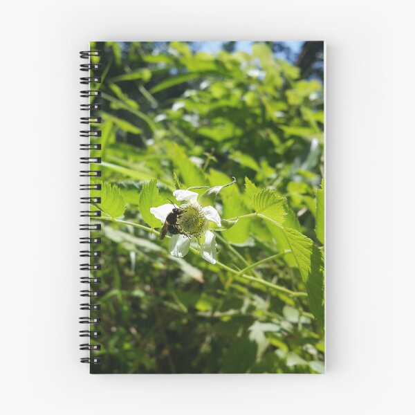 Item preview, Honey bee sucking on a bunch of white flowers and buds of hawthorn that are waiting for pollination designed and sold by Yusuf-Design.
