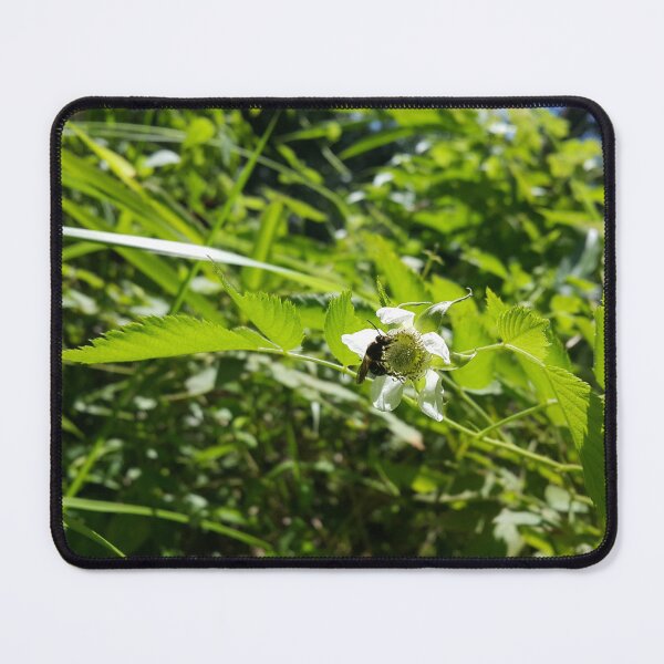 Item preview, Honey bee sucking on a bunch of white flowers and buds of hawthorn that are waiting for pollination designed and sold by Yusuf-Design.