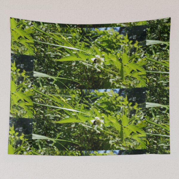 Item preview, Honey bee sucking on a bunch of white flowers and buds of hawthorn that are waiting for pollination designed and sold by Yusuf-Design.