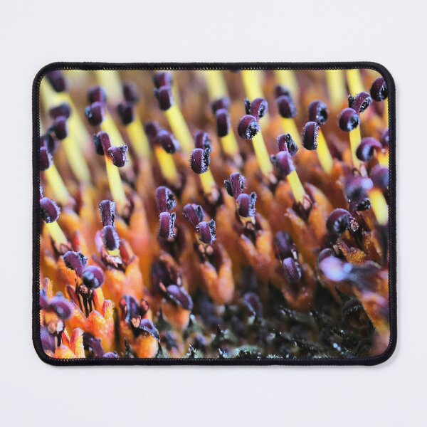 Item preview, A Sunflower Set ( 6 ) Waiting to be Fed by the Bees designed and sold by Larry Davis.