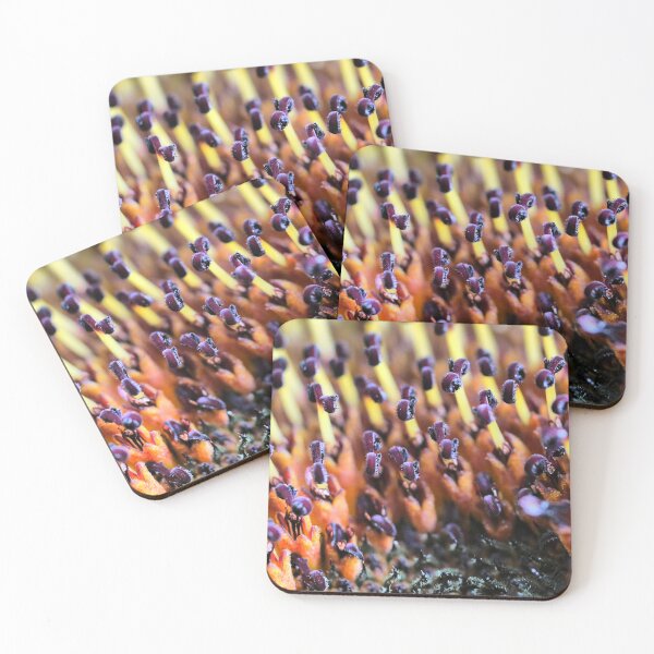 Item preview,  A Sunflower Set ( 6 )  Waiting to be Fed by the Bees designed and sold by Larry Davis.