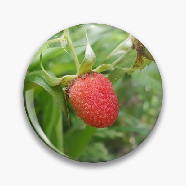 Artikelvorschau, Reife rote Früchte der Sorte Rubus rosifolius entworfen und verkauft von Yusuf-Design.