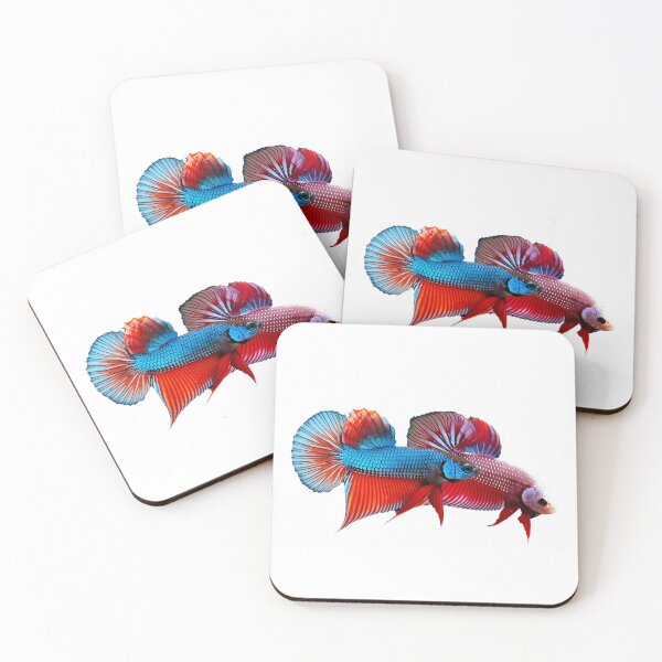 Item preview, Siamese Fighting Fish in action designed and sold by wonderisland.