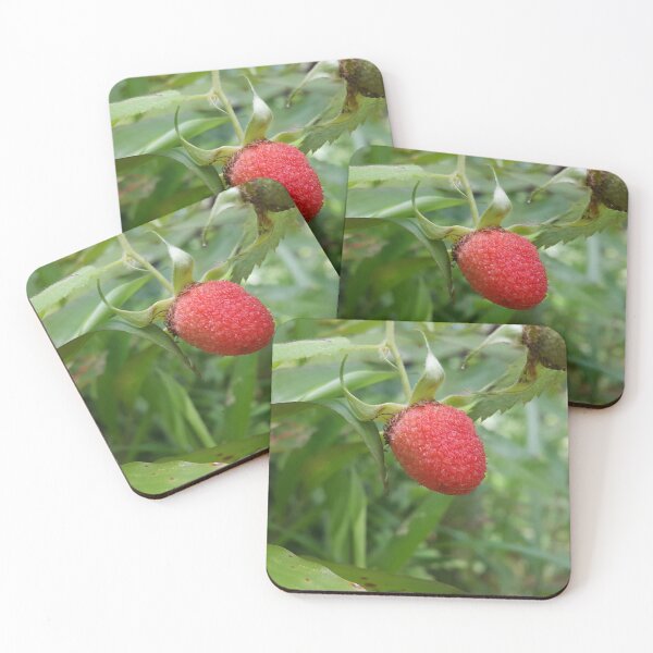 Item preview, Rubus rosifolius fruit shot in the jungle. designed and sold by Yusuf-Design.
