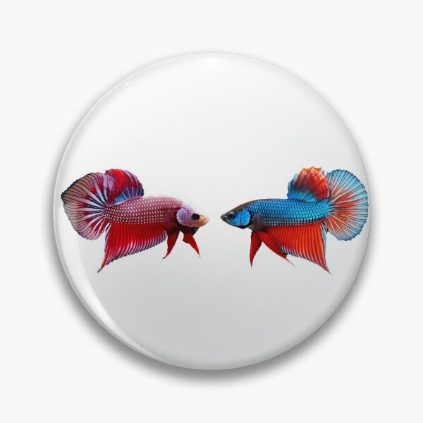 Item preview, Siamese Fighting Fish in action designed and sold by wonderisland.