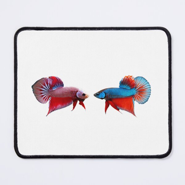 Item preview, Siamese Fighting Fish in action designed and sold by wonderisland.