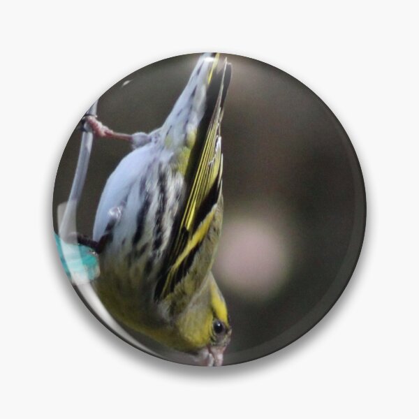 Item preview, siskin designed and sold by KathleenDawson.