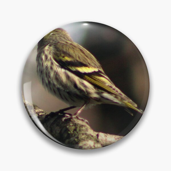 Item preview, siskin designed and sold by KathleenDawson.