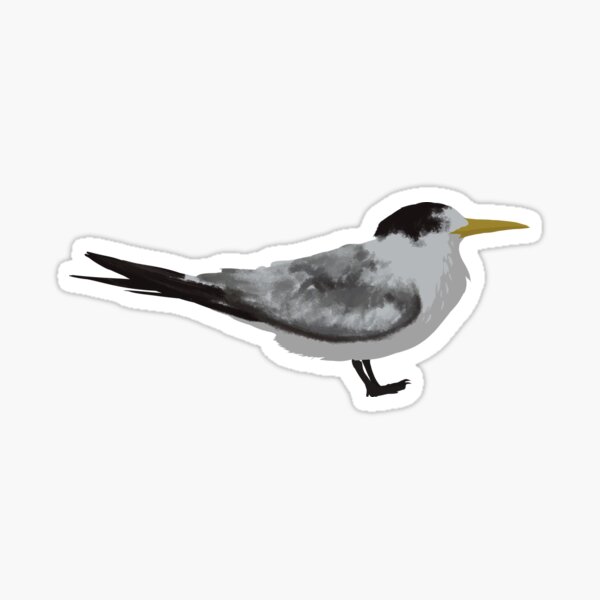 Item preview, crested tern (juvenile) designed and sold by mythzology.