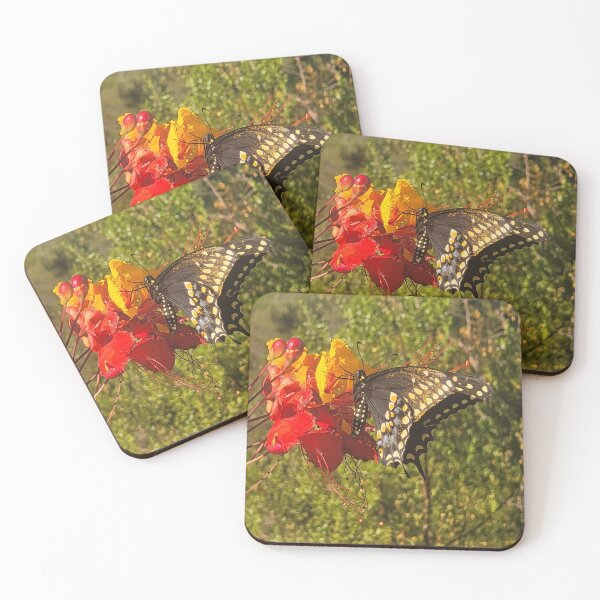 Item preview, Arizona Butterfly! designed and sold by Fatboy0699.