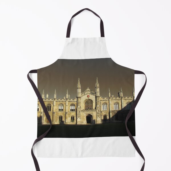 Item preview, New Court & Chapel, Corpus Christi College designed and sold by wiggyofipswich.