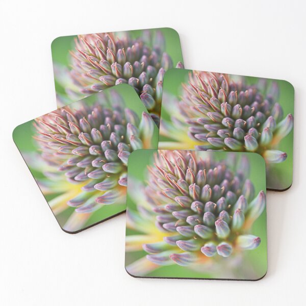 Item preview, The Spiky Succulent Flower designed and sold by Joy Watson - Natural Light Photography .