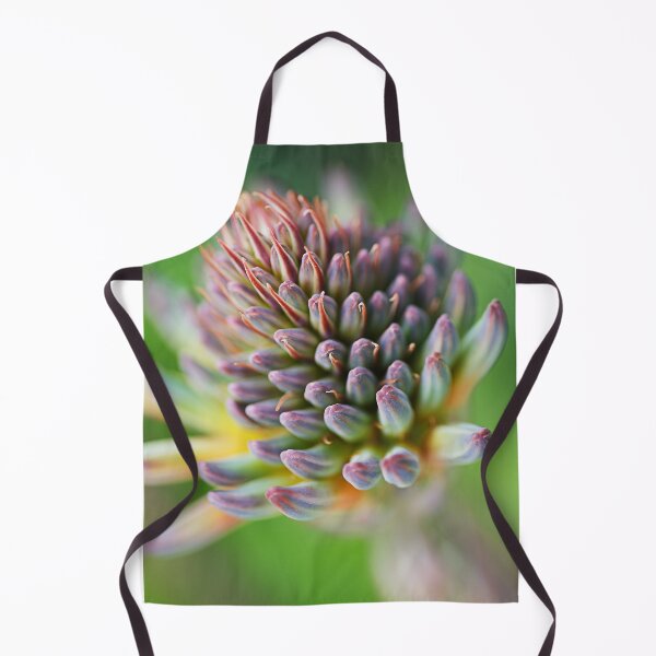 Item preview, The Spiky Succulent Flower designed and sold by Joy Watson - Natural Light Photography .