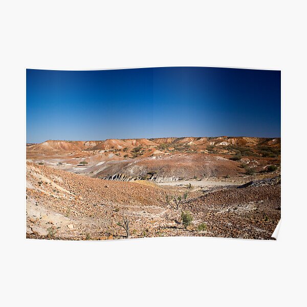 Painted Desert Poster