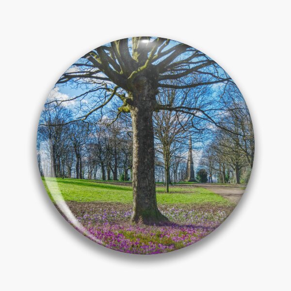 Item preview, Sheffield Cholera Monument Grounds designed and sold by Alisonchambers2.
