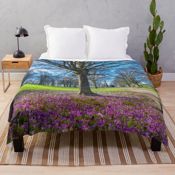 Item preview, Sheffield Cholera Monument Grounds designed and sold by Alisonchambers2.