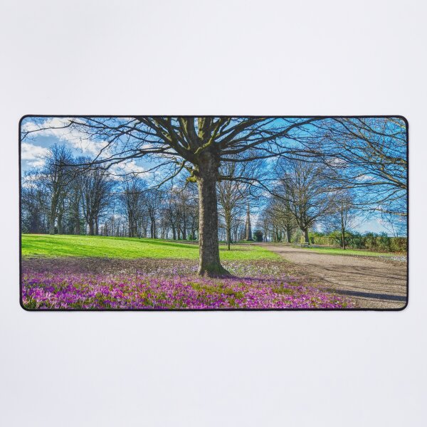 Item preview, Sheffield Cholera Monument Grounds designed and sold by Alisonchambers2.