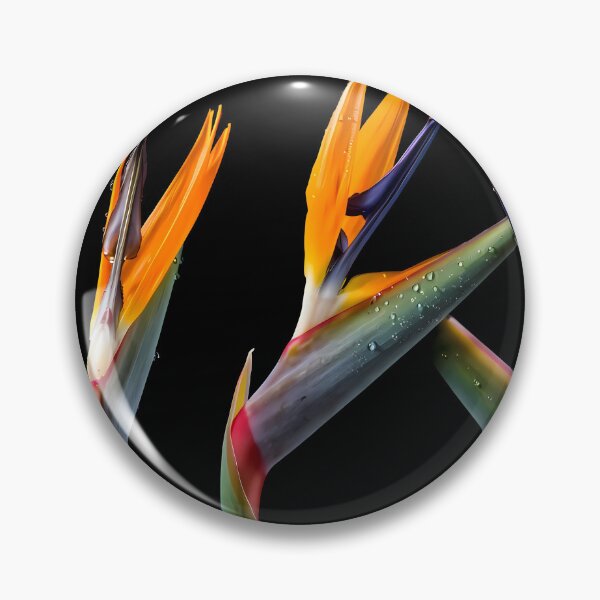 Item preview, Bird of Paradise designed and sold by Vibranta Studio.