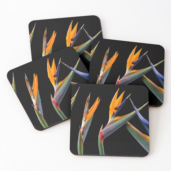 Item preview, Bird of Paradise designed and sold by Vibranta Studio.