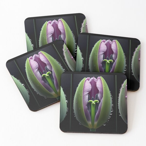 Item preview, Tulip progression designed and sold by Vibranta Studio.