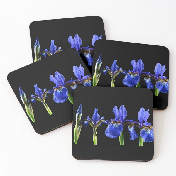 Item preview, Iris designed and sold by Vibranta Studio.