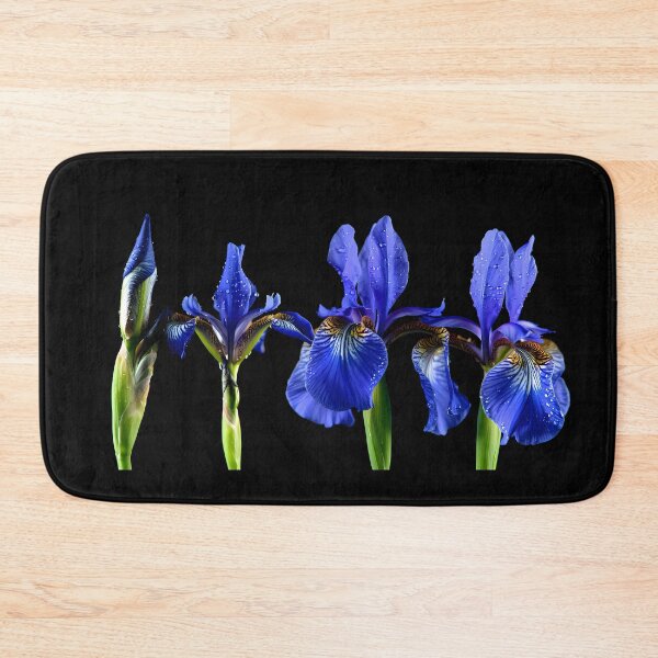 Item preview, Iris designed and sold by Vibranta Studio.
