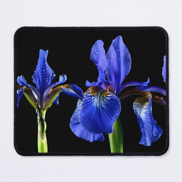 Item preview, Iris designed and sold by Vibranta Studio.