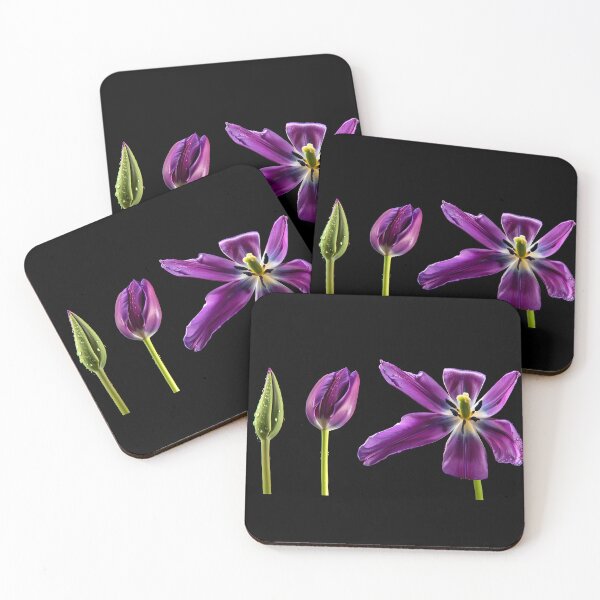 Item preview, Purple Tulip designed and sold by Vibranta Studio.