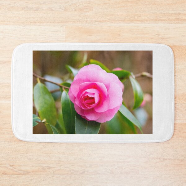 Item preview, The first camelia blossom in our garden designed and sold by jchanders.