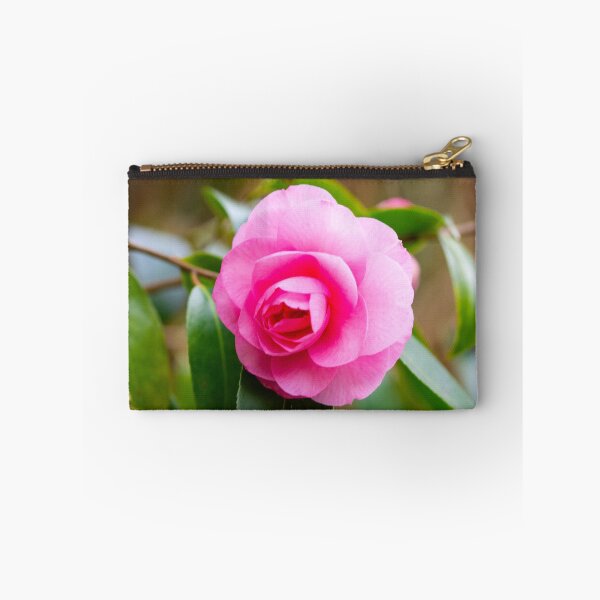 Item preview, The first camelia blossom in our garden designed and sold by jchanders.