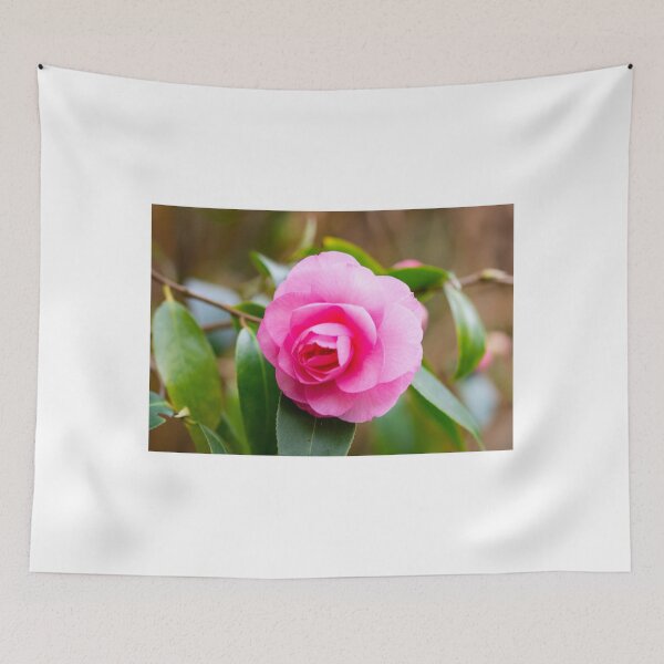 Item preview, The first camelia blossom in our garden designed and sold by jchanders.