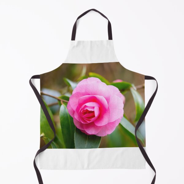Item preview, The first camelia blossom in our garden designed and sold by jchanders.