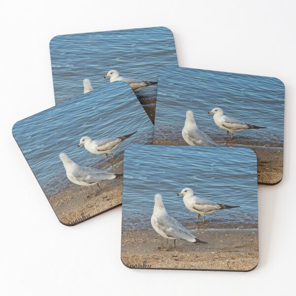 Item preview, Two seagulls stand on a sandy beach designed and sold by InezPhotography.