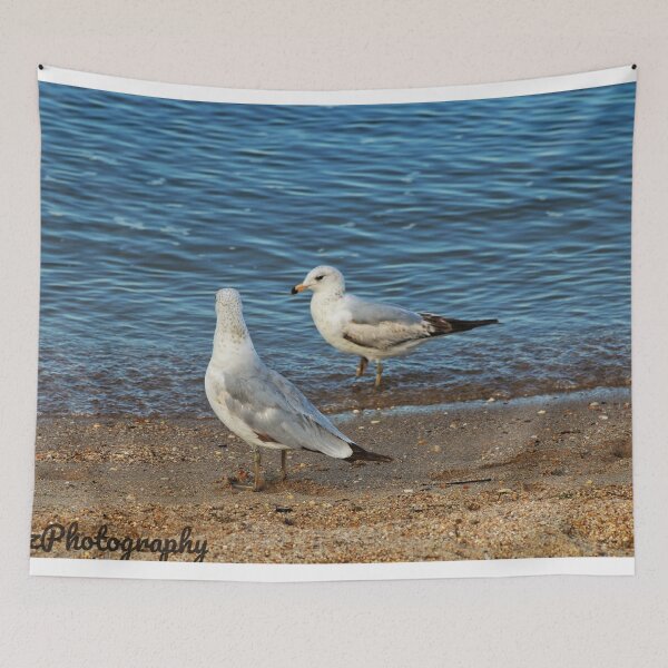 Item preview, Two seagulls stand on a sandy beach designed and sold by InezPhotography.