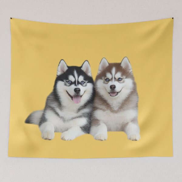 Item preview, Two Siberian Huskies sit side by side. designed and sold by FluffyGallery.