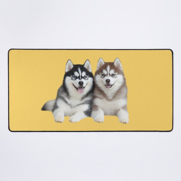 Item preview, Two Siberian Huskies sit side by side. designed and sold by FluffyGallery.