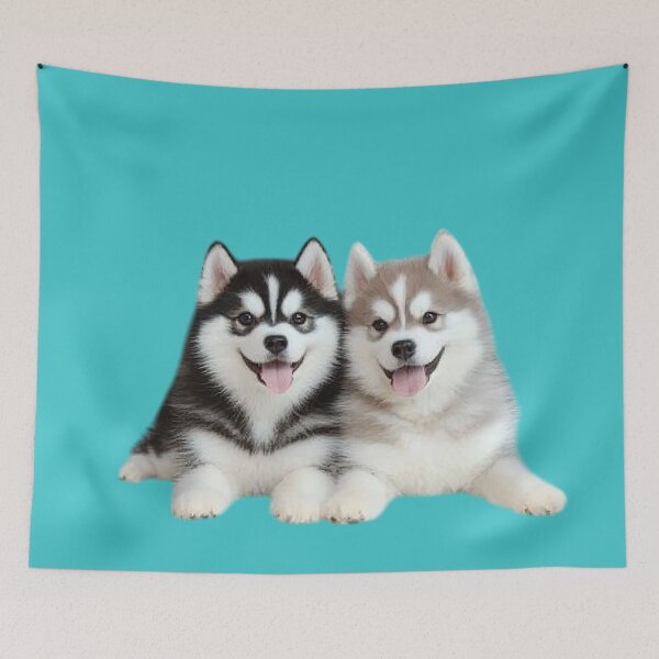 Item preview, Two cute and playful Siberian Husky puppies. designed and sold by FluffyGallery.