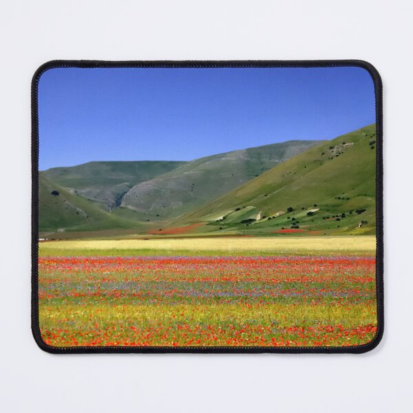 Item preview, Flowering of Castelluccio designed and sold by annalisa56.