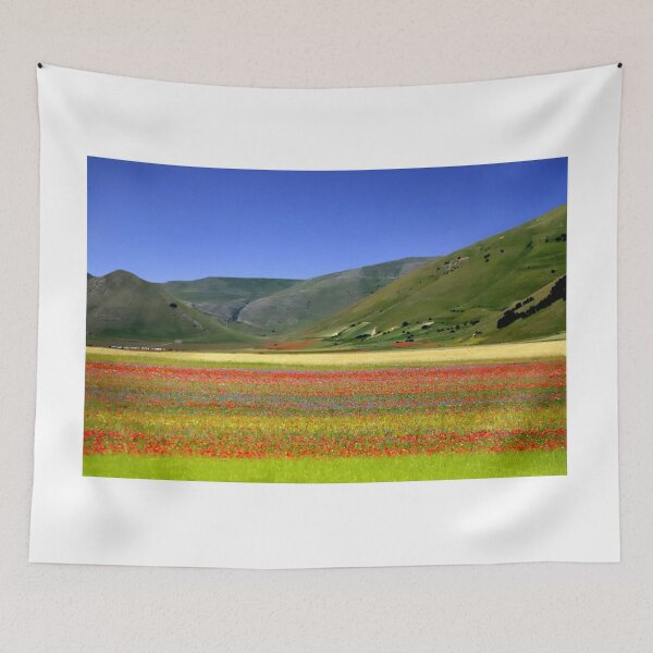 Item preview, Flowering of Castelluccio designed and sold by annalisa56.