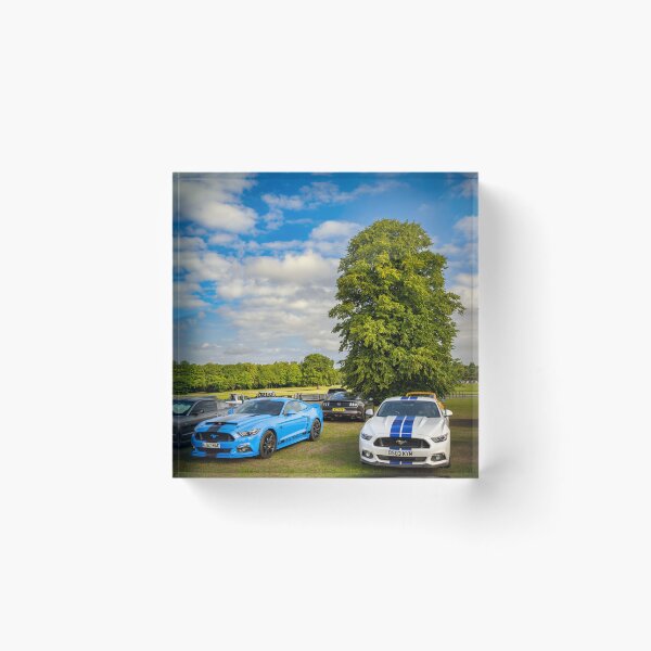 Item preview, Ford Mustang GT designed and sold by AJEvans.
