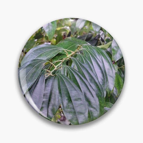 Item preview, Long leaves designed and sold by Maitedo.