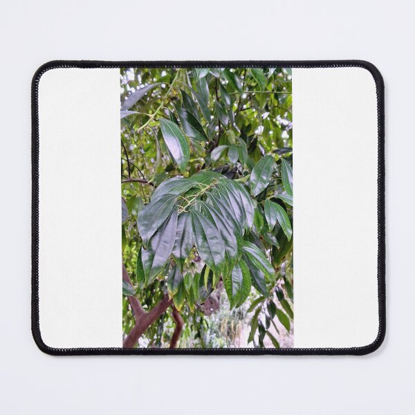 Item preview, Long leaves designed and sold by Maitedo.