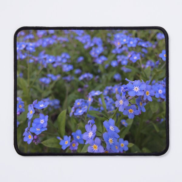 Item preview, Forget me not designed and sold by Madelyn Craig.