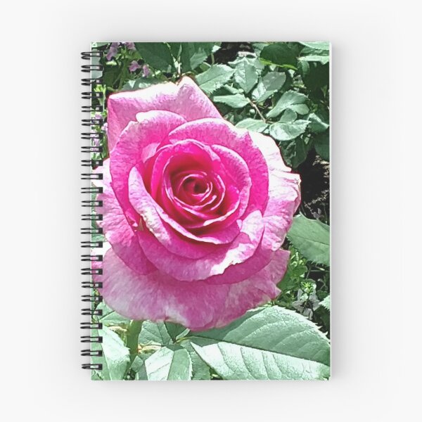 Item preview, Pink rose designed and sold by JessParkerPMP.